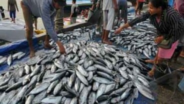 Industri Pengalengan Ikan Dipacu Kuasai Pasar Domestik